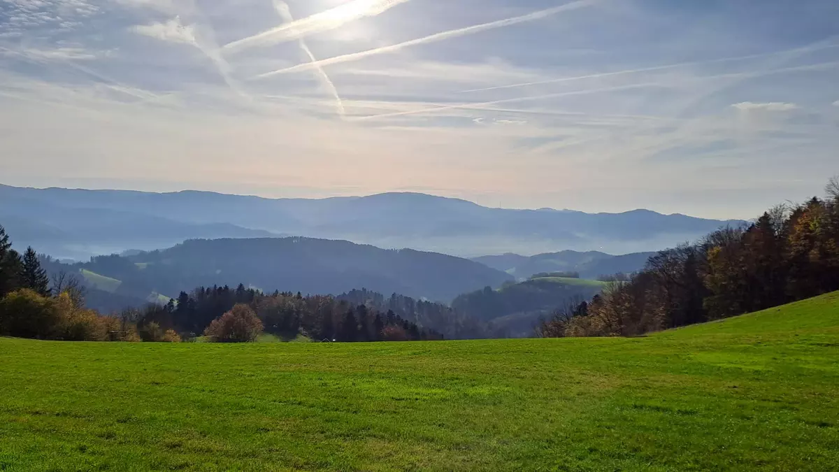 Berge und Täler im Schwarzwald. Foto: LpB BW